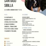 CV Diseñador