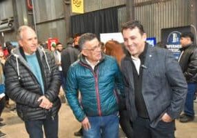 Imagen de WhatsApp 2025-08-07 a las 22.05.35_9855243c